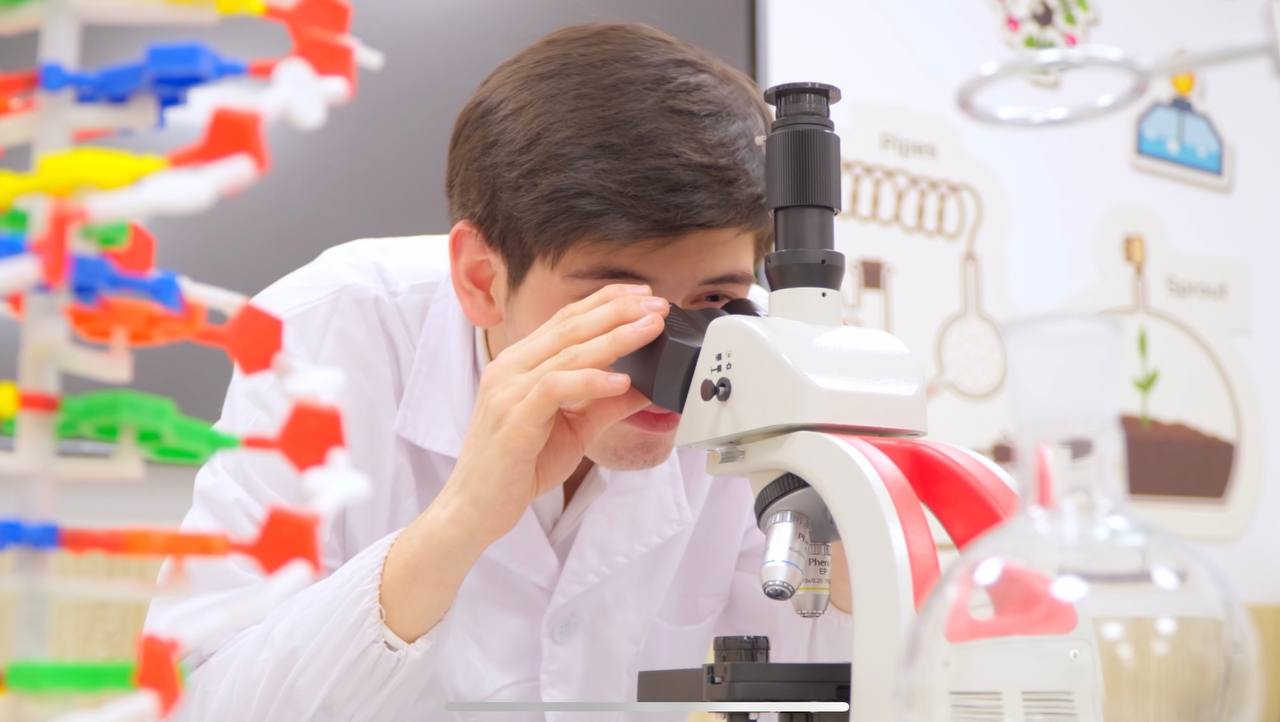 People collaborating on laptops